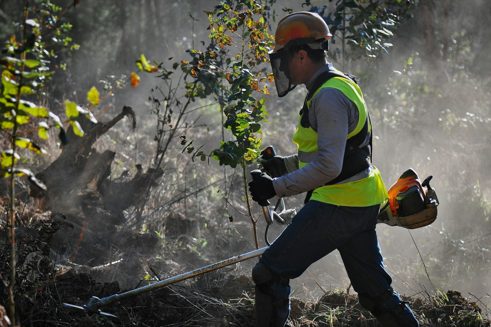 A chainsaw cutting through a felled trunk, sawdust spraying