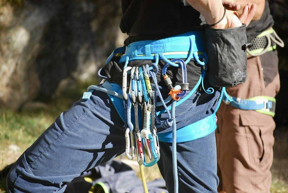 A roped-in climber sectioning a bare hardwood trunk against the sky, a cut piece swinging away on a rigging line