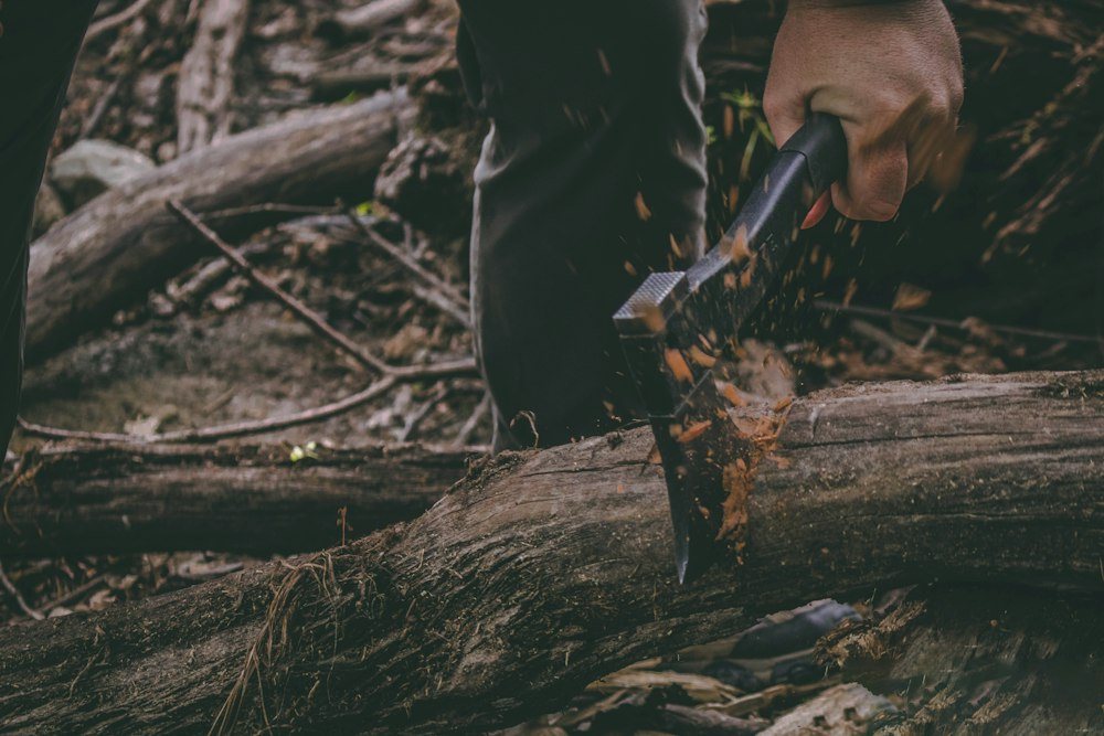 Hands gripping a chainsaw beside a felled trunk during a removal