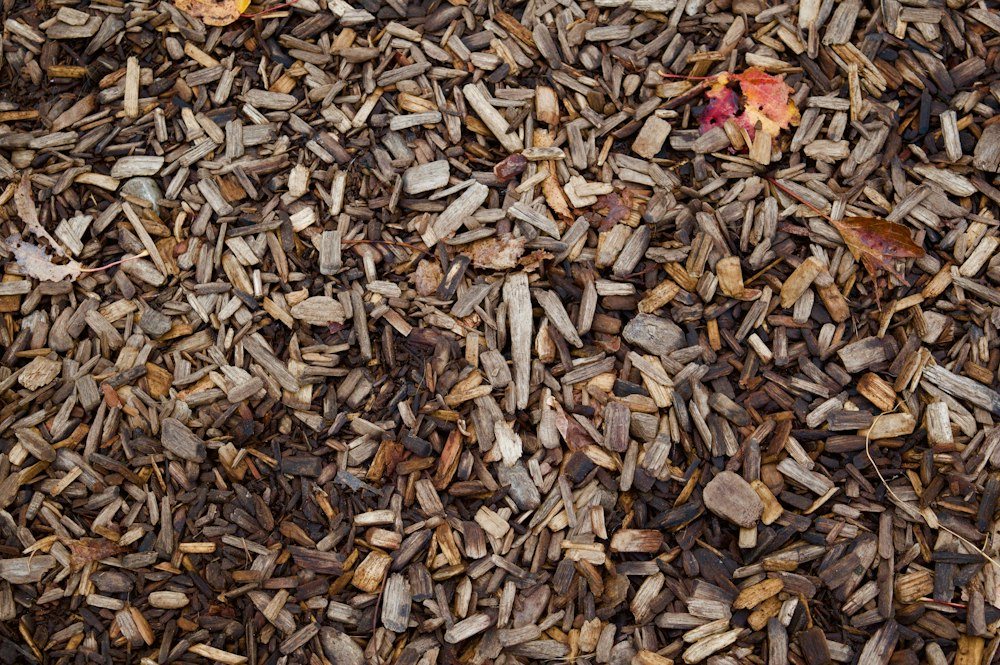 A close-up of fresh wood chips and stump grindings