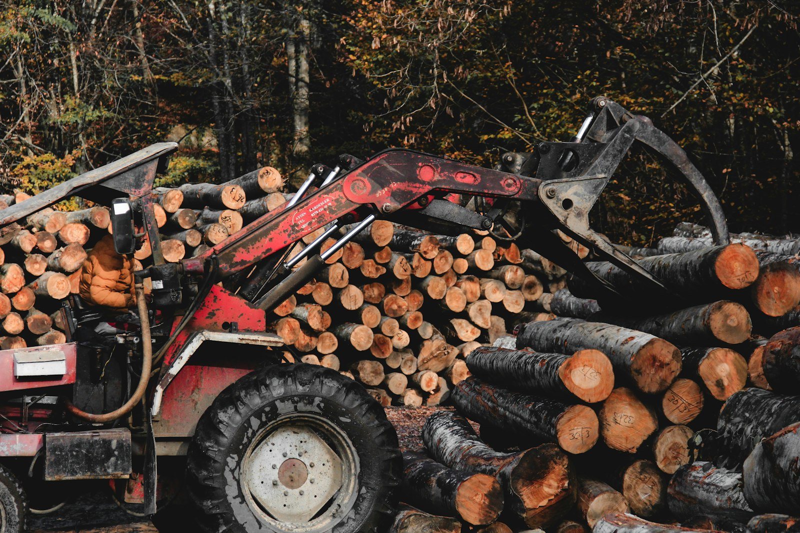 Limbs being fed into a wood chipper at the curb